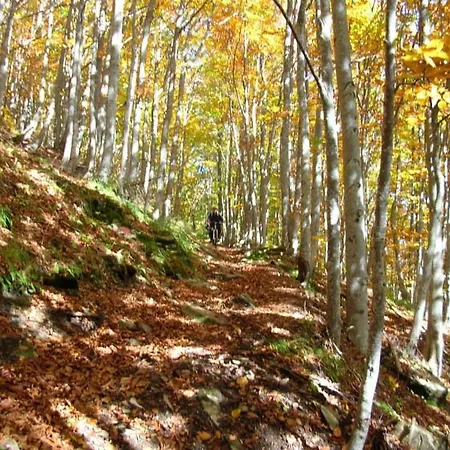 Monte Ventasso