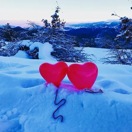 Monte Ventasso Frühstückspension *