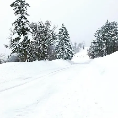 Frühstückspension Monte Ventasso